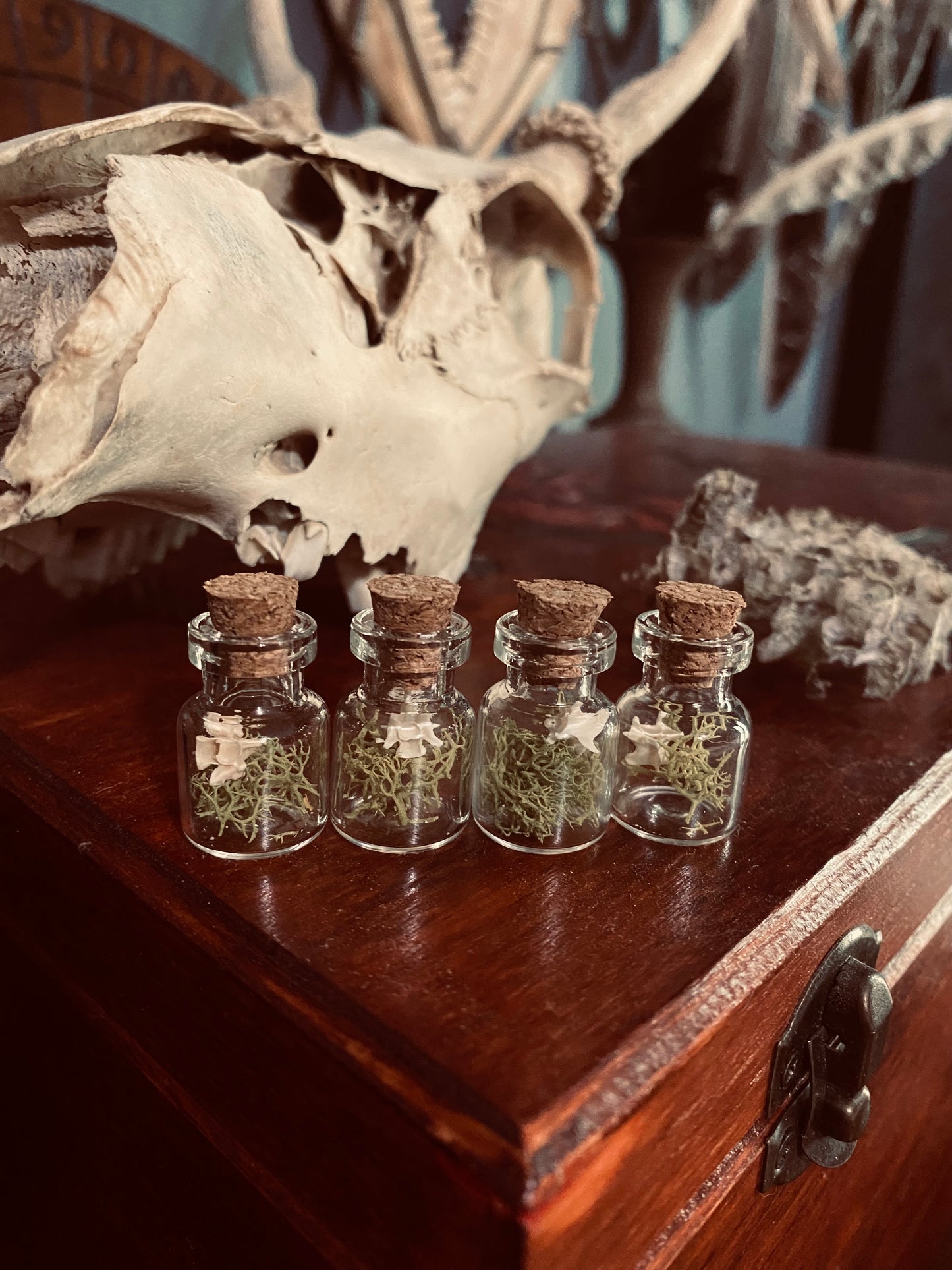 Woodland Curio Vials