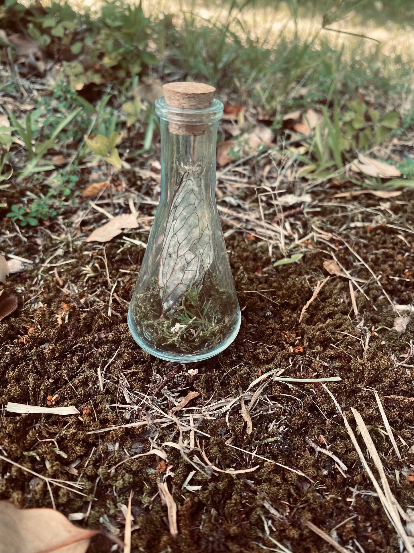 Witch Curio Bottle With Wings