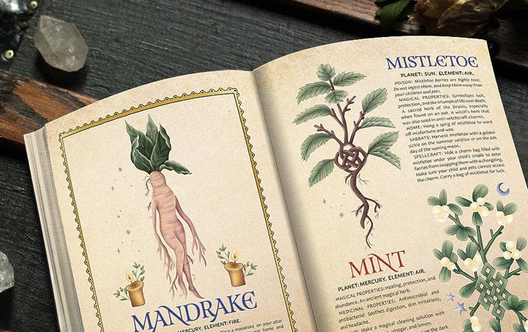 Witch’s Herbal Primer: A Beginner’s Guide to Plant Magic