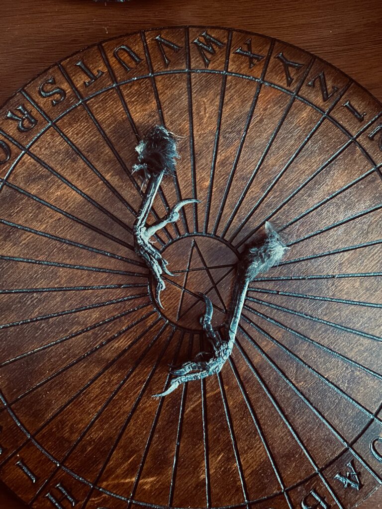 Carrion Crow Foot | Unique Gothic Ritual Curio Item