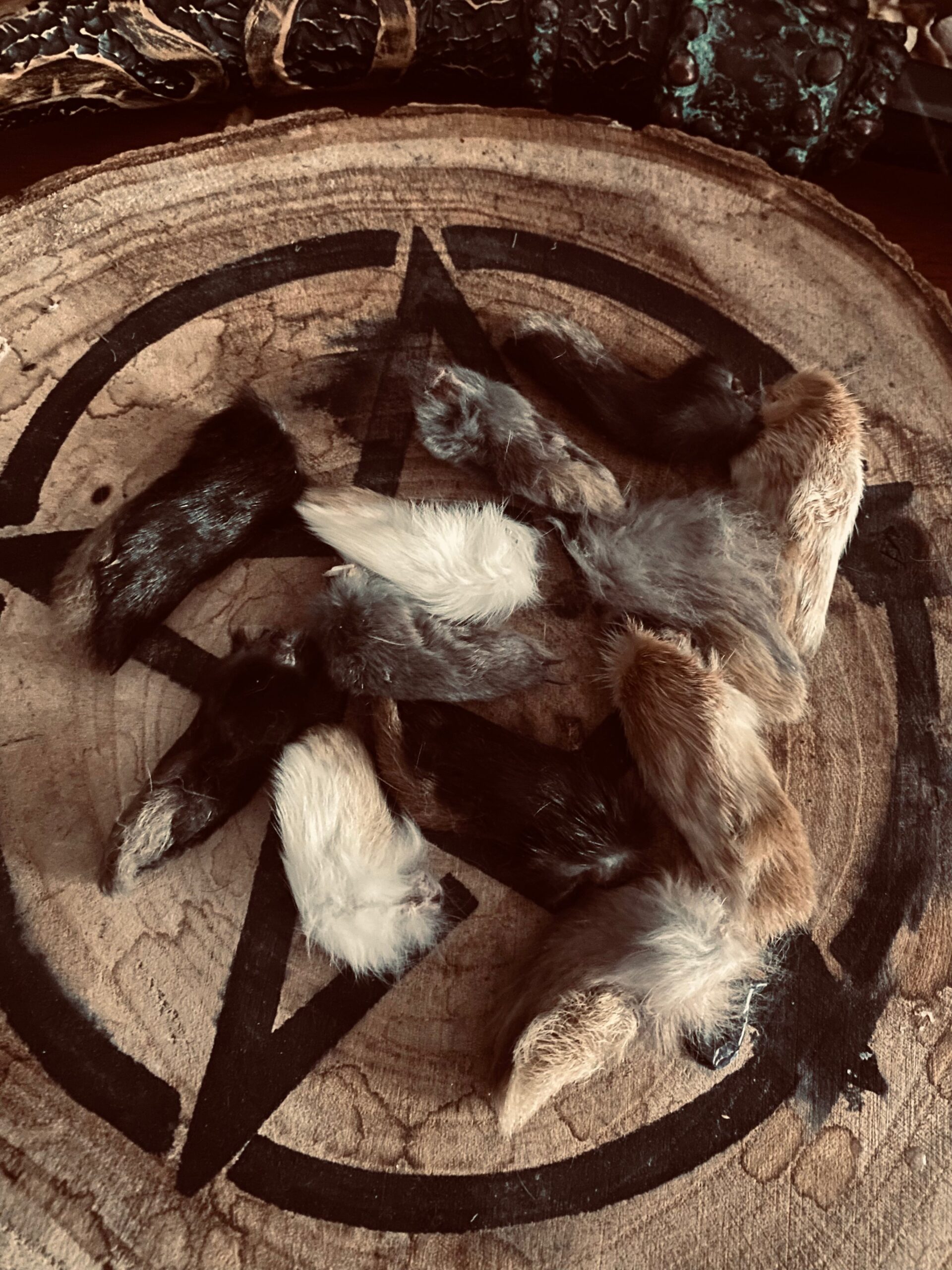 FullSizeRender_ce4e804a-25d7-443d-a5bc-a14074dcd396