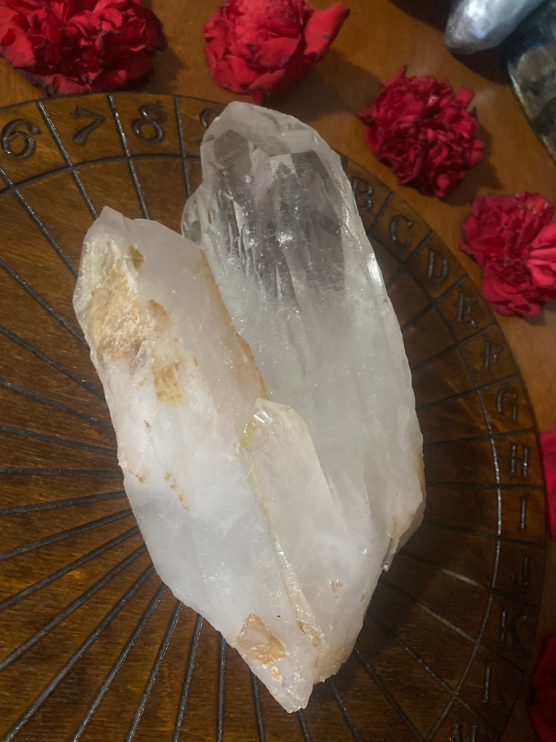 il_fullxfull.4577685856_ipmj-1