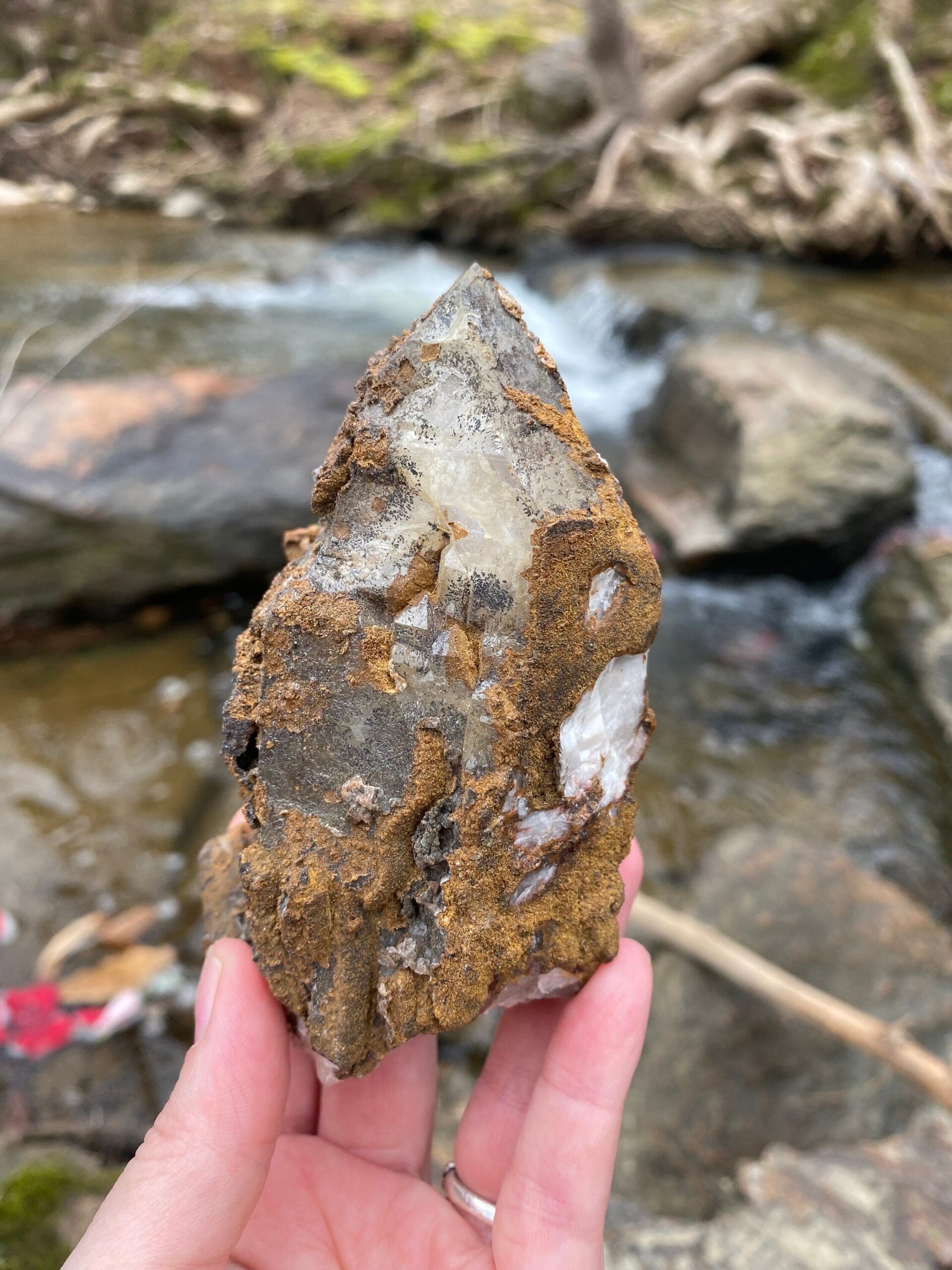 il_fullxfull.4650178230_fjhh-1