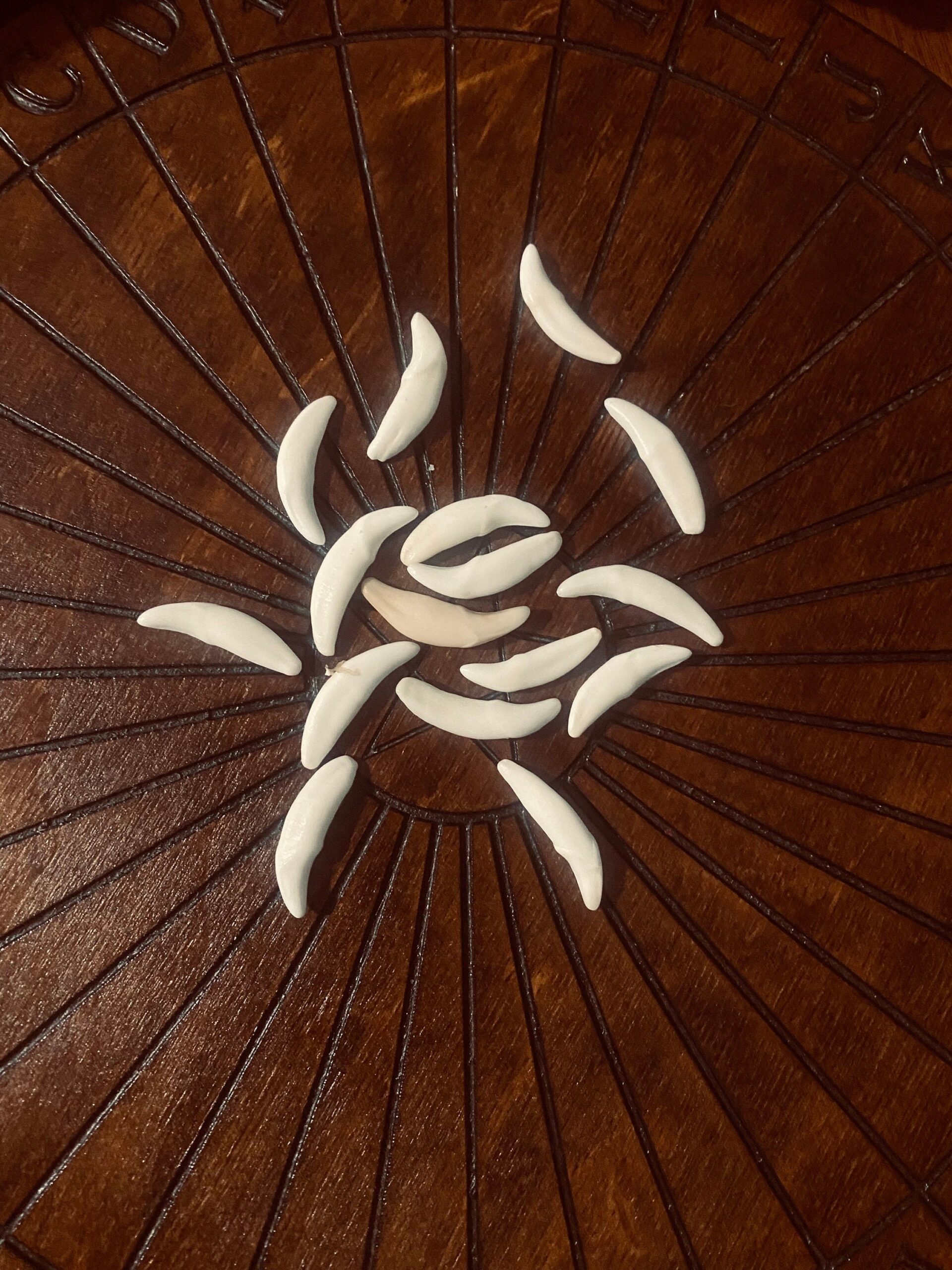 il_fullxfull.5524088921_ea2l-1