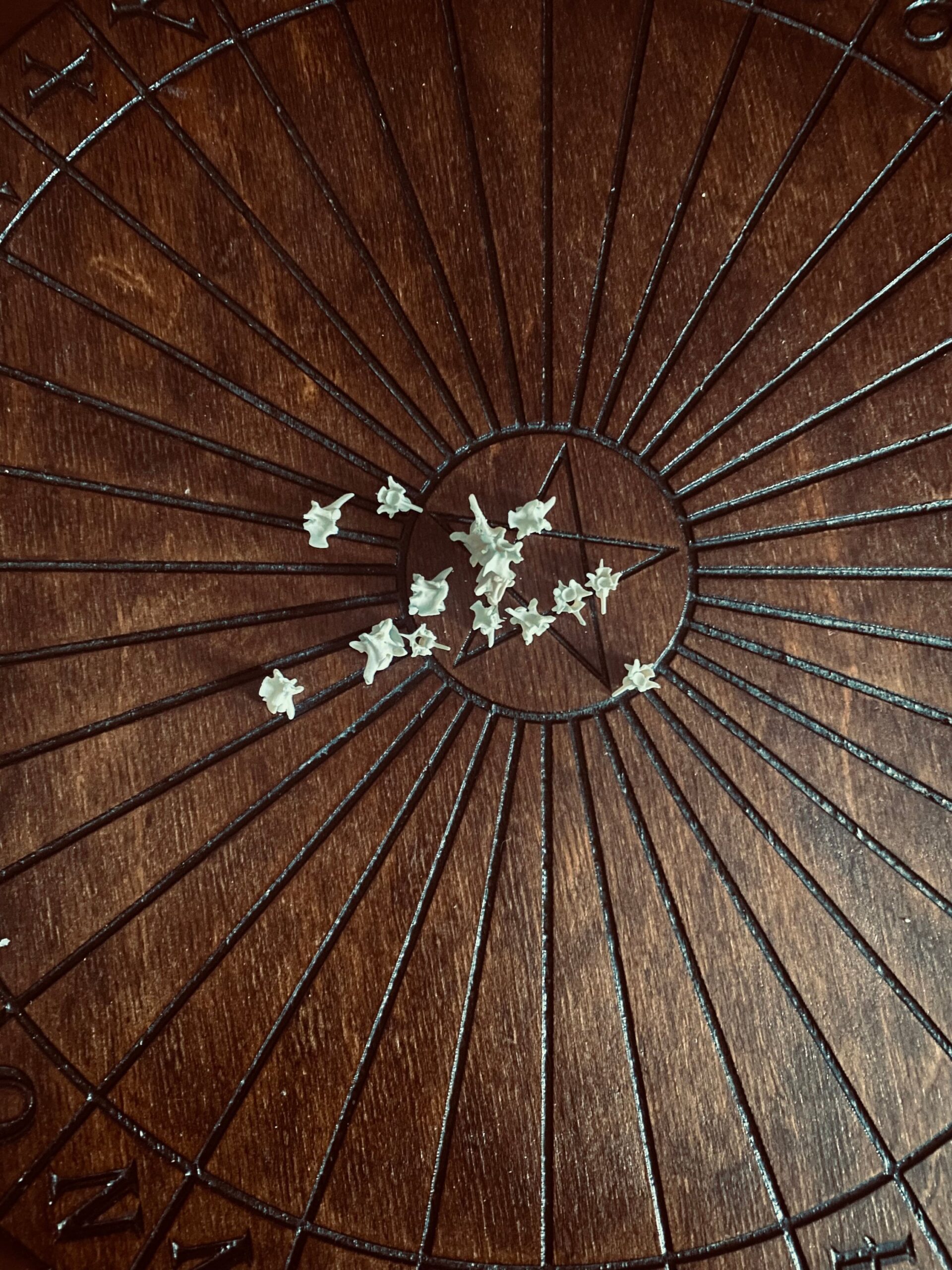 il_fullxfull.5679402970_97w8-1