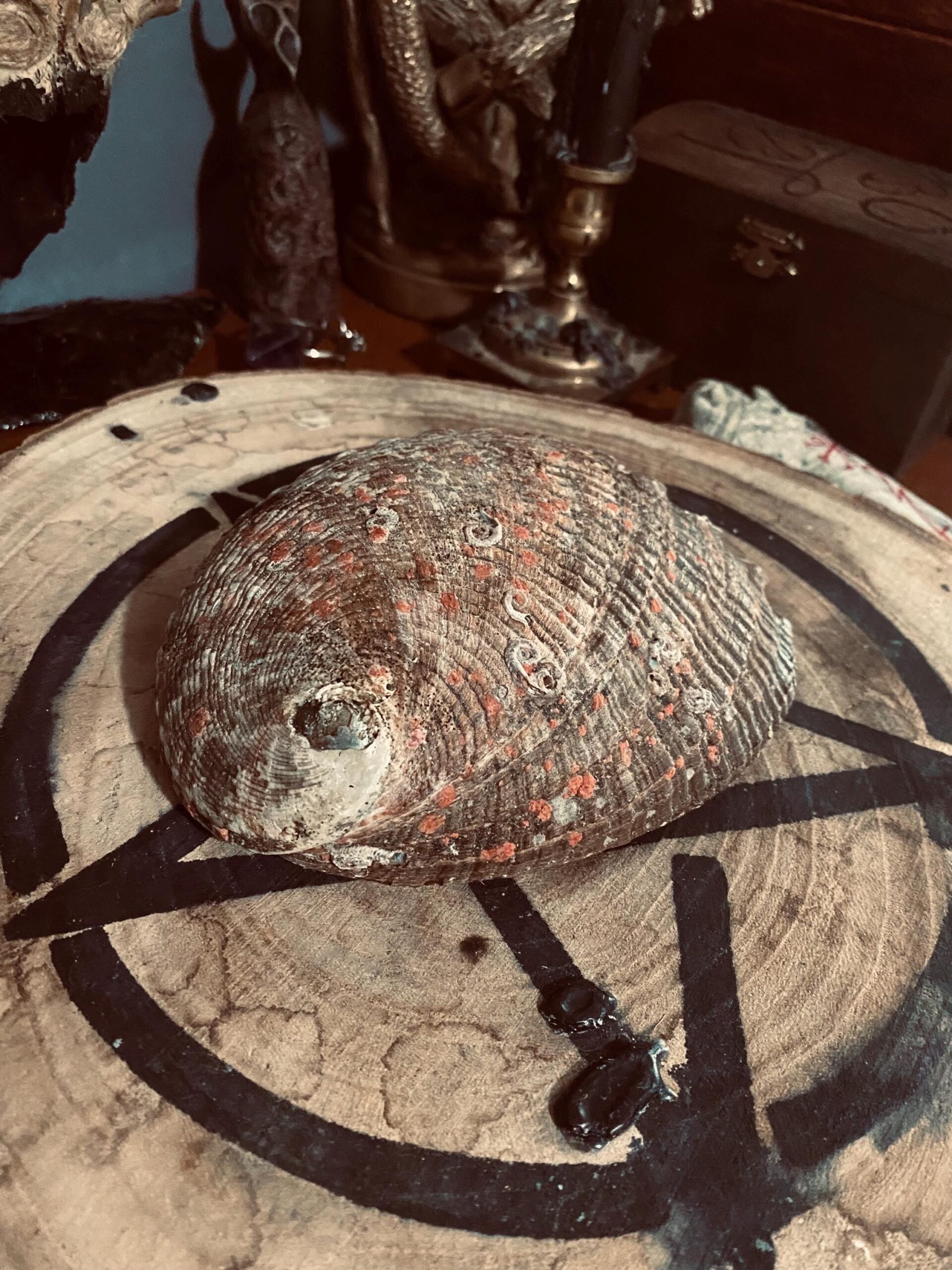 il_fullxfull.6283770437_kvgv-1