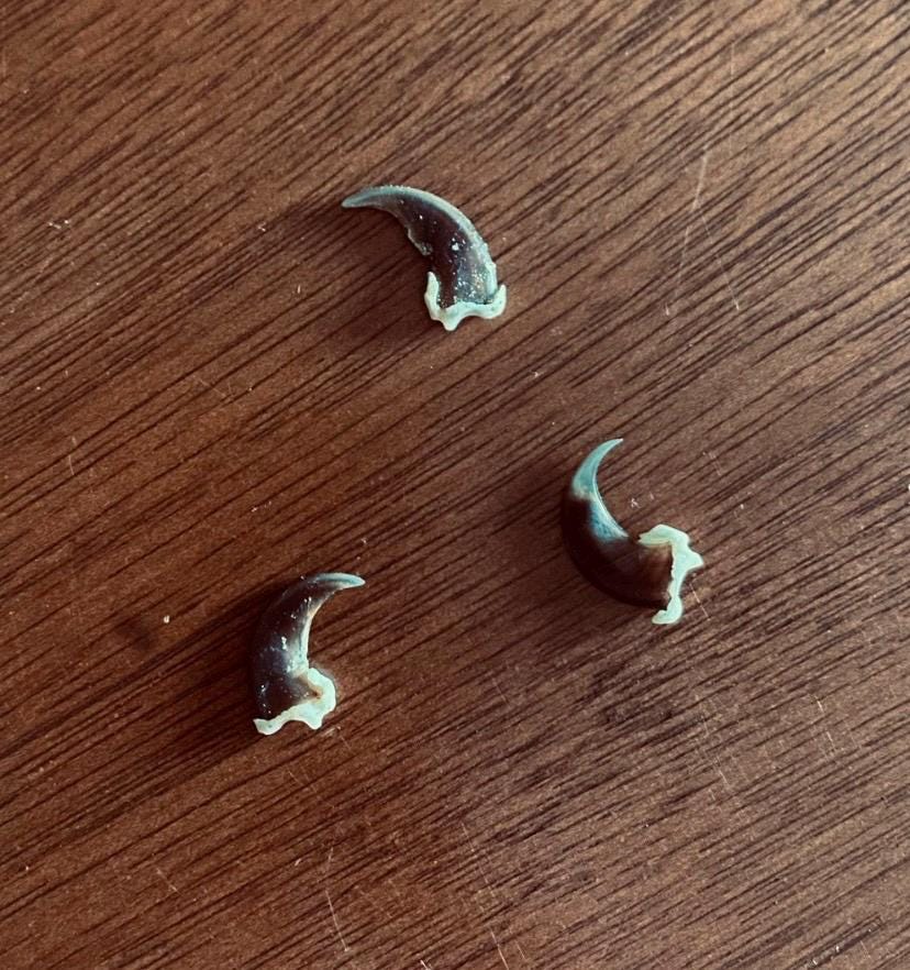 il_fullxfull.6639795515_2akt-1